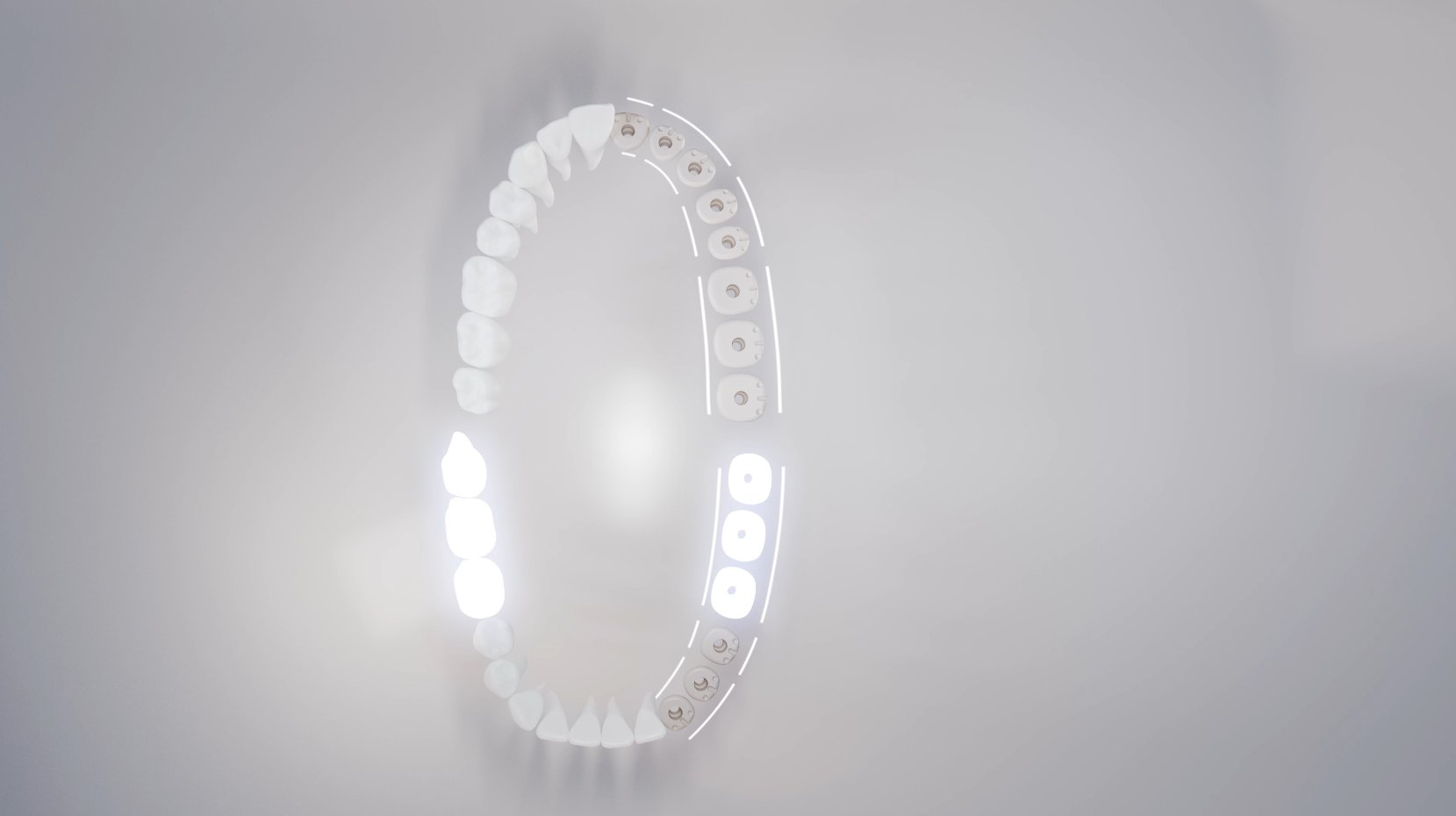 CAMLOG – Dental jaw visualization